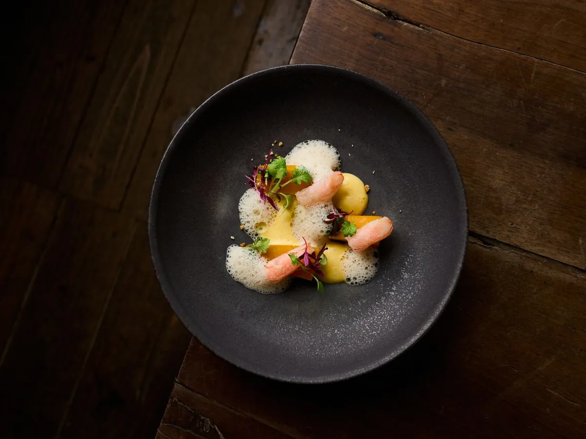 Plato de pescado con emulsión templada y espuma sobre cuenco oscuro